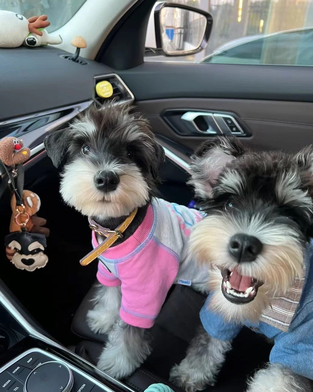 Schnauzer Leather Charm