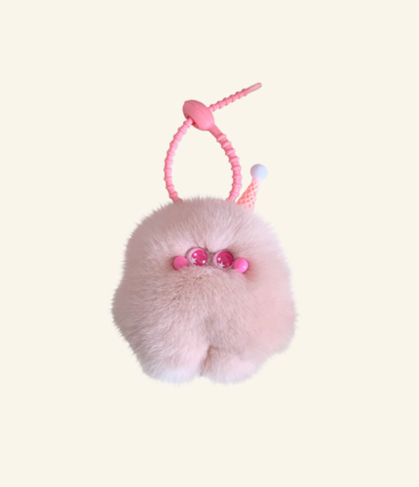 Cloudy Companion Series